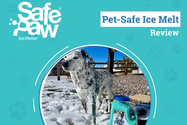 Safe Paw Ice Melter Review 2026: A Pet-Friendly Way to De-Ice