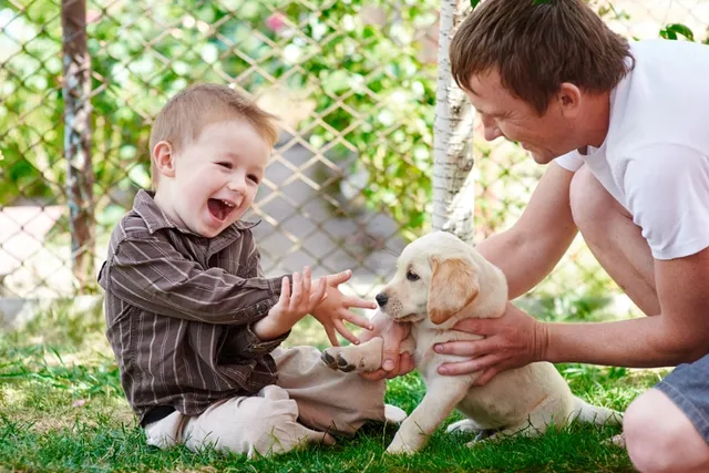 Puppies & Toddlers: Vet-Approved Tips for Navigating Life With Both