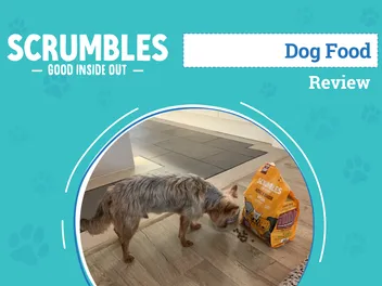 Scrumbles Dog Food Review 2026: An Expert's Breakdown