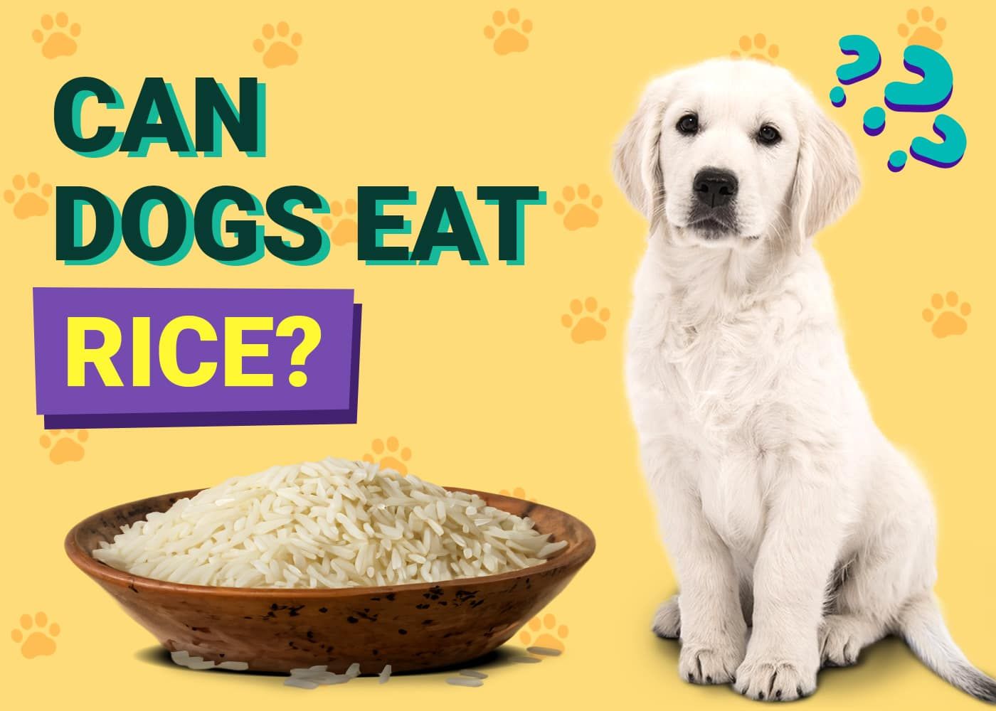 Can Dogs Eat Rice