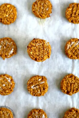 Oatmeal Pumpkin Dog Treat Recipe