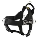 Dean and Tyler Blind Dog No-Pull Harness