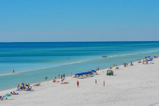 Are Dogs Allowed on Miramar Beach? Local Rules Explained