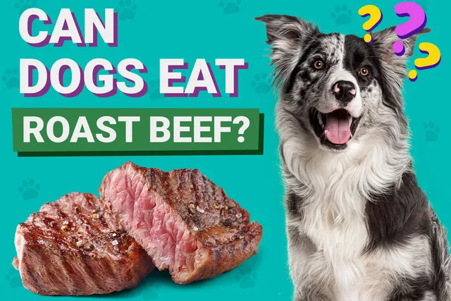 Can Dogs Eat Roast Beef? Vet-Verified Nutrition Facts & FAQ