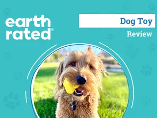 Earth Rated Fetch Toy Review 2026: An Expert’s Breakdown