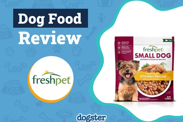 Freshpet Dog Food Review 2026: Recalls, Pros & Cons