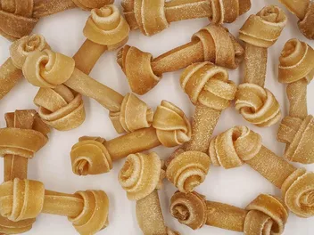 Can Puppies Have Rawhide? Vet-Reviewed Info & Safety Precautions