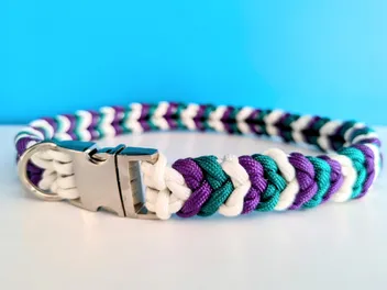 How to Make a DIY Paracord Dog Collar: Step-by-Step Guide With Pictures