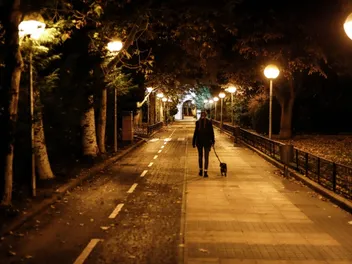 Should I Walk My Dog at Night? Vet-Reviewed Reasons & Safety Tips