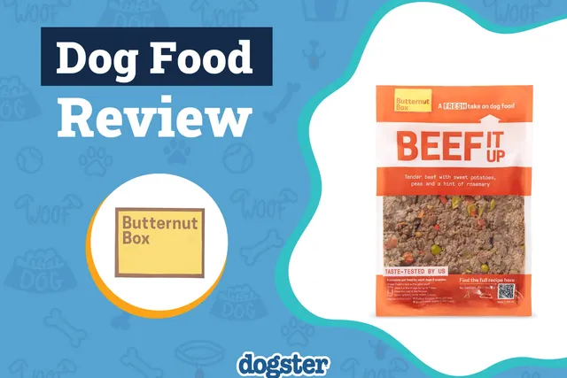 Butternut Box Dog Food Subscription Review 2026: Our Expert’s Opinion