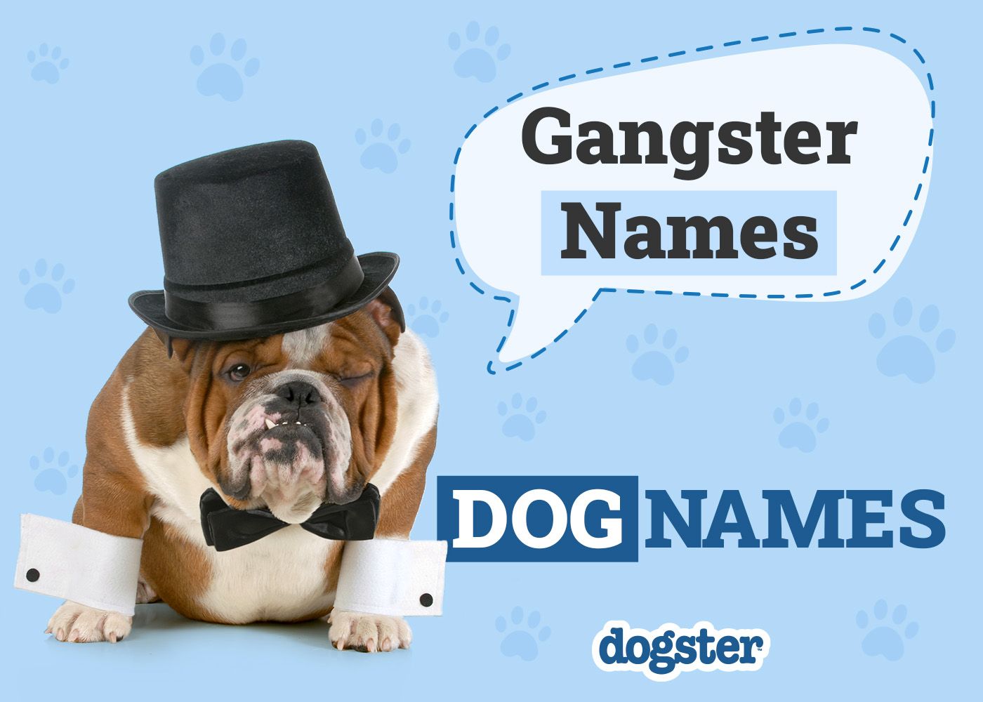 Dogster_Gangster Names