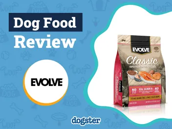 Evolve Dog Food Review 2026: Recalls, Pros & Cons