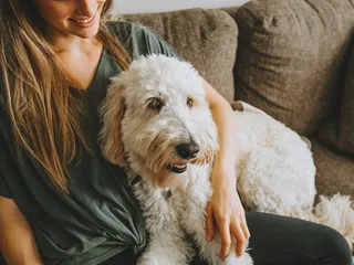 9 Best Pet Sitting Apps in 2026 - Reviews & Top Picks