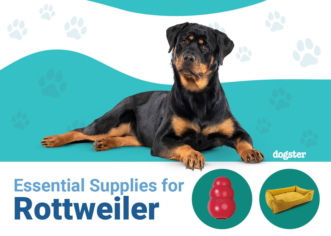 13 Essential Rottweiler Supplies: 2026 Vet-Reviewed Guide