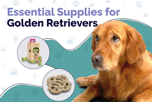 19 Essential Golden Retriever Supplies to Get You Started: 2026 Vet-Reviewed Guide