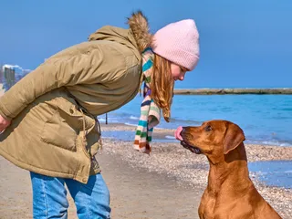Do You Tip a Dog Walker, Pet Sitter, or Groomer? Here's the Standard
