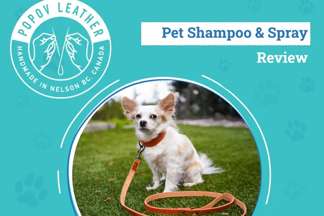 Popov Leather Dog Collar & Leash Review 2026: An Expert's Breakdown