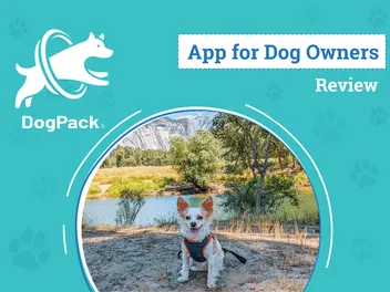 DogPack App Review 2026: The Ultimate Tool for Fido’s Adventures