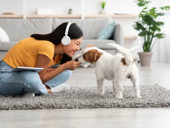 15 Awesome Dog Album Covers That You Will Love