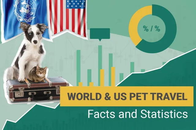 12 Interesting Pet Travel Statistics & Trends to Know: 2026 Update