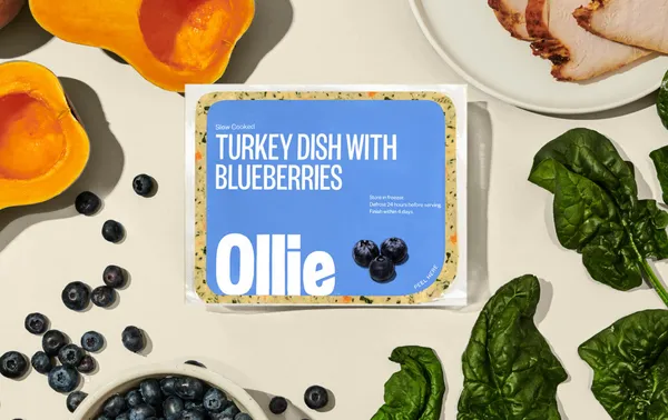 Ollie Fresh Turkey Dog Food