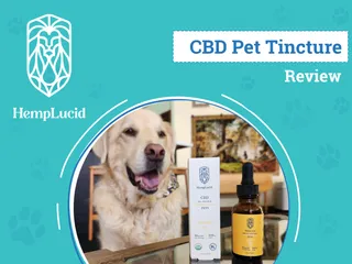 HempLucid Pet CBD Tincture Review 2026: An Expert’s Breakdown