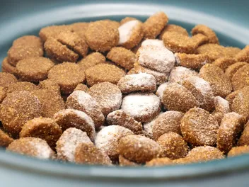 Tylosin for Dogs: Uses, Side Effects & FAQ (Vet Answer)