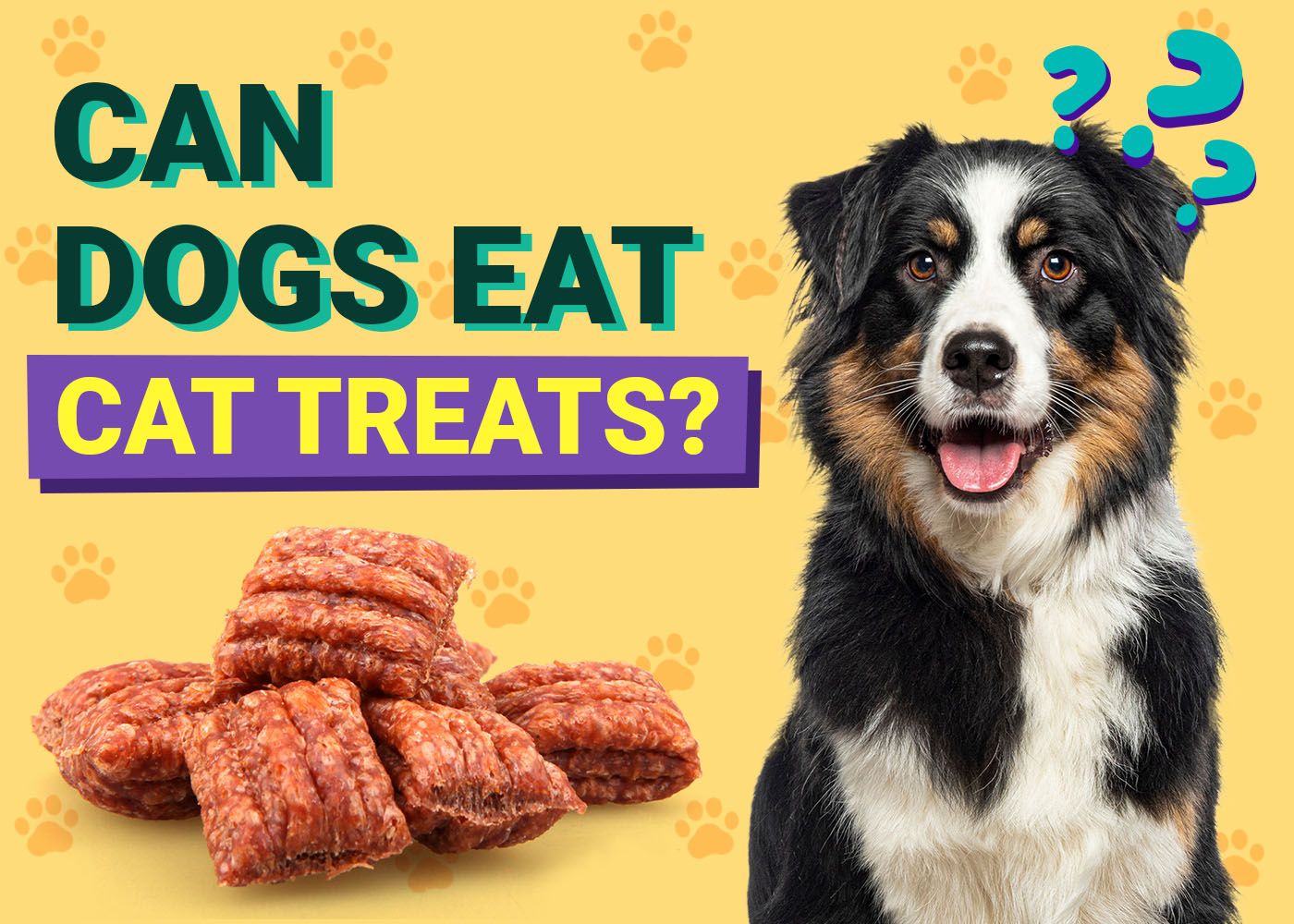 Dogster-Can-Dogs-Eat-Cat Treats