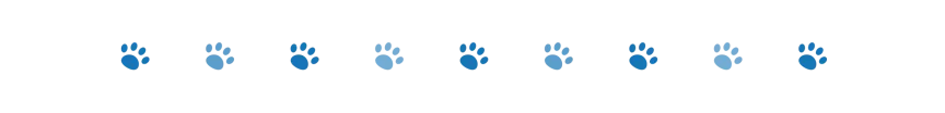divider dog paws 2 oct 2024