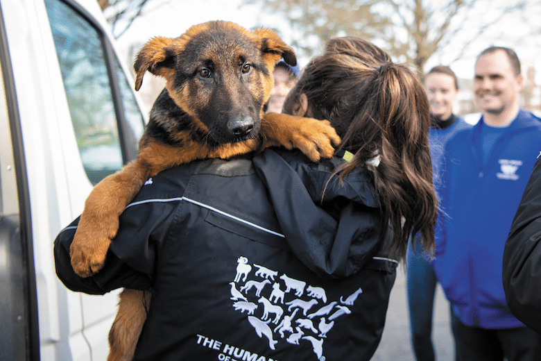 5 Tips on Disaster Preparedness for You & Your Dog (2026 Guide)