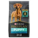 Purina Pro Plan High Protein Chicken and Rice Dog Food