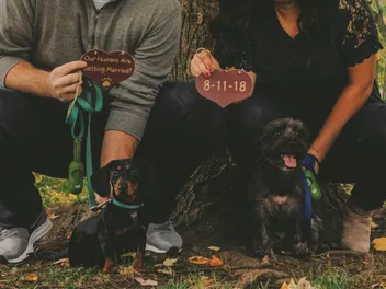10 Tips for Engagement Photos With Your Dog in 2026