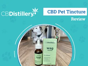 CBDistillery Wag CBD Pet Tincture Review 2026: An Expert’s Breakdown