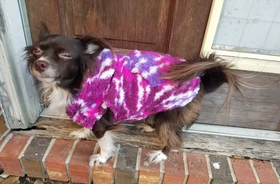 0 degrees and her face says it all.
