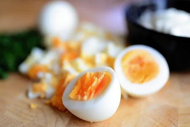 Can Dogs Be Allergic to Eggs? (Vet Answer)