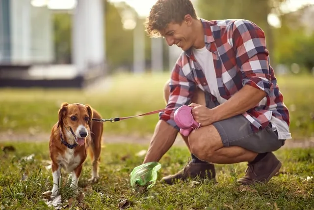 How to Pick Up Dog Poop: 8 Simple Ways