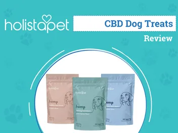 Holistapet CBD Dog Treats Review 2026: Our Expert's Opinion