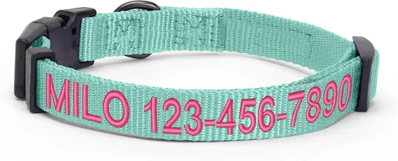 Pawtitas Solid Personalized Dog Collar