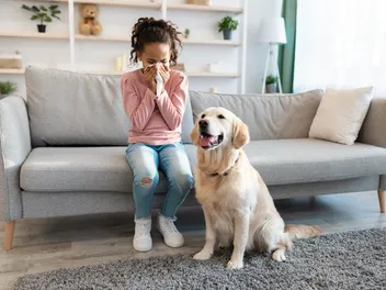 Pet Allergies in Babies & Children: What Parents Must Know (Vet Answer)