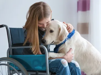How to Certify an Emotional Support Dog: 4 Steps to Take (Vet-Reviewed)