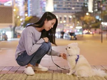 How to Have Safe Outdoor Fun With Your Dog at Night: 10 Vet-Approved Tips