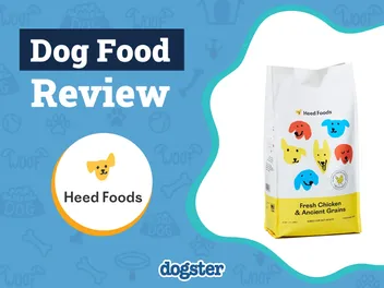 Heed Dog Food Review 2026: Pros, Cons, Recalls & Guide