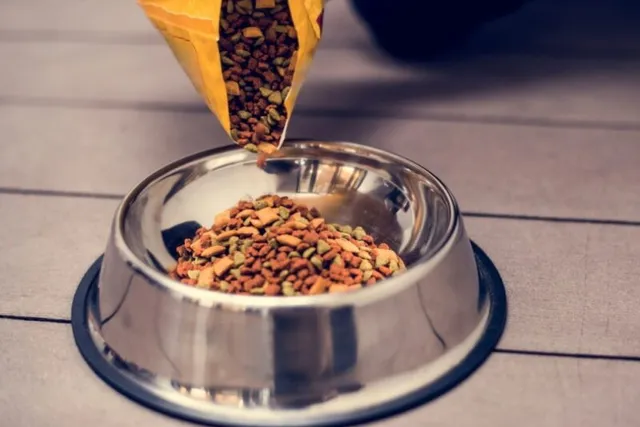 Is Sportmix Dog Food Made in the USA? What You Need to Know