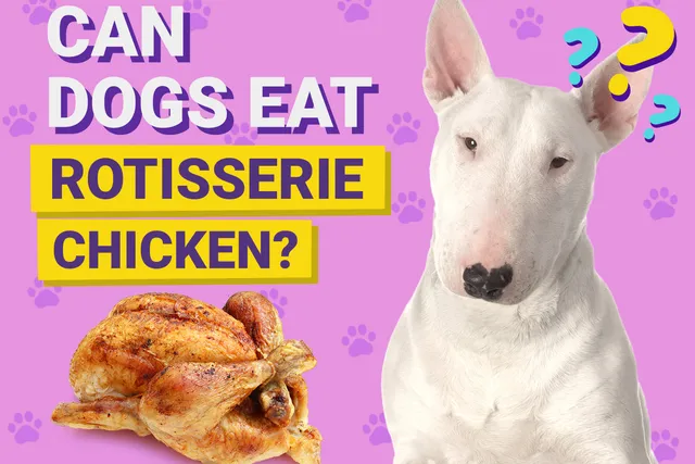 Can Dogs Eat Rotisserie Chicken? Vet-Approved Benefits, Risks, & FAQ