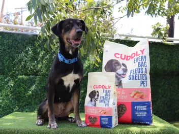 The Dog Food That Feeds Shelter Pets Every Time You Buy a Bag