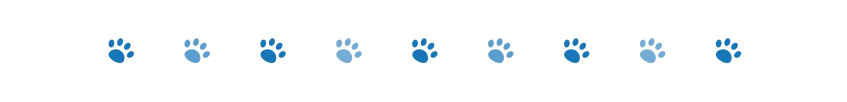 divider dog paws 2 oct 2024