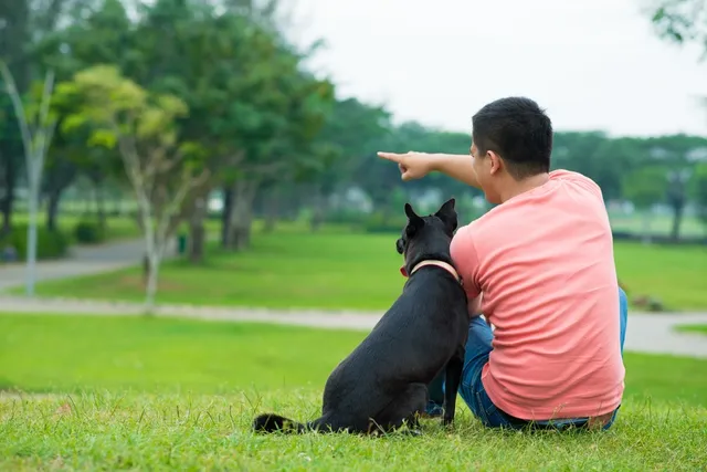 Do Dogs Understand Pointing? Scientific Discoveries & Training Tips (Vet Approved)