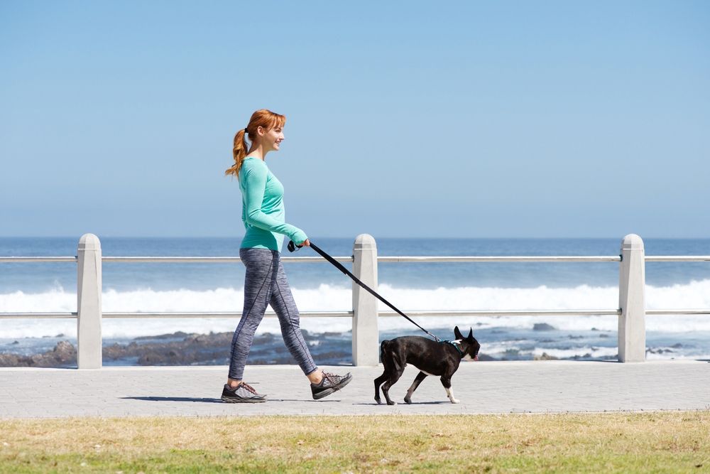 woman-walking-with-her-dog-on-sea-side