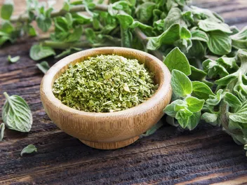 Can Dogs Eat Oregano? Our Vet Explains Nutrition Facts & Info
