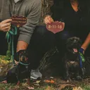 10 Tips for Engagement Photos With Your Dog in 2026